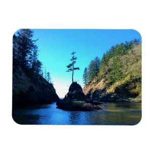 Ímã Vaca do morto, Desapontamento do Cabo, Washington