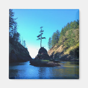 Imã Vaca do morto, Desapontamento do Cabo, Washington