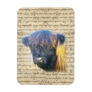 Ímã Vaca do planalto