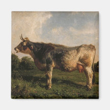 Vaca em campo (Fazenda animal) (por Filippo Palizz