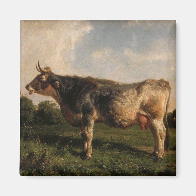 Imã Vaca em campo (Fazenda animal) (por Filippo Palizz (Frente)