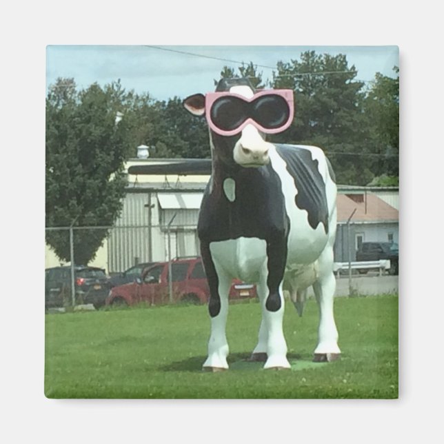 Imã vaca legal 1 (Frente)