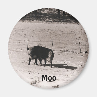 Imã vacas