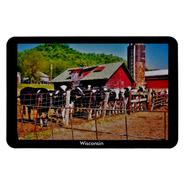 Ímã Vacas de Wisconsin (Horizontal)