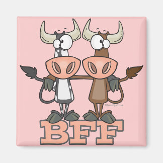 Imã Vacas melhores amigas para sempre companheiras