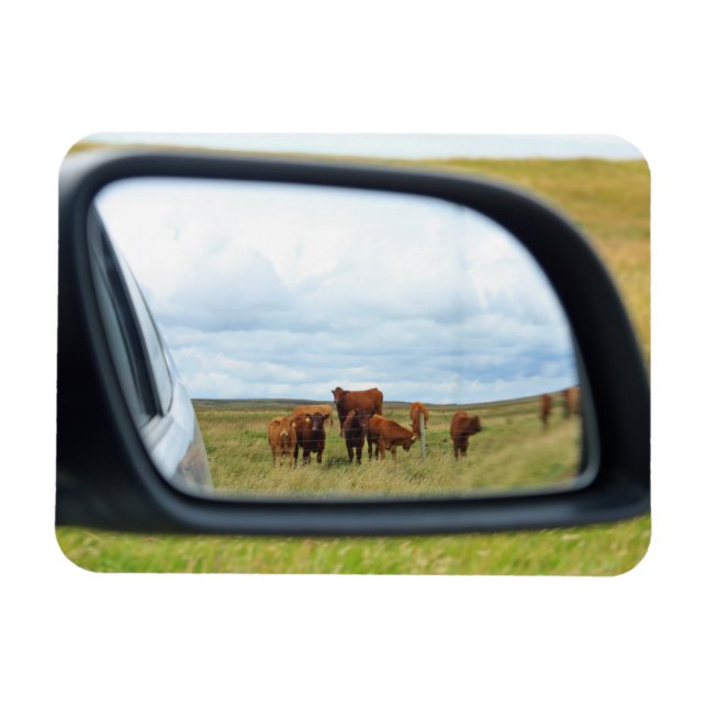 Ímã Vacas no espelho (Horizontal)