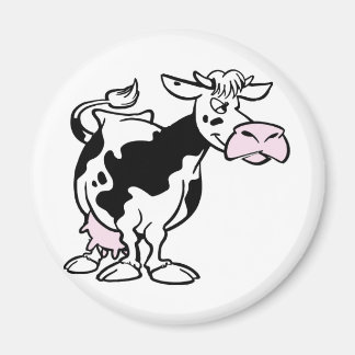 Imã Vacas, vacas, vacas