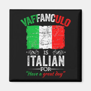 Imã Vaffanculo Tenha Um Ótimo Dia Dito Italiano Engraç