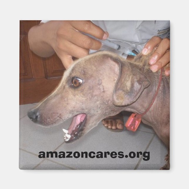 Imã Vai Bem Em Breve! Íman (Frente)