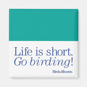 Imã Vai Birding!
