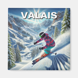 Imã Valais Suiça Skiing Skier Viagem