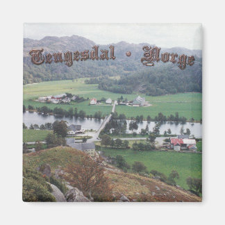 Imã Vale de Tengesdal