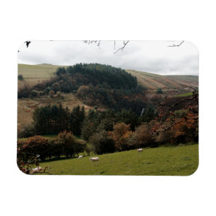 Ímã Vale Wales da flâmula