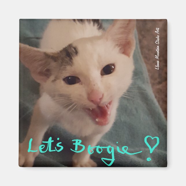 Imã Vamos Boogie! (Frente)