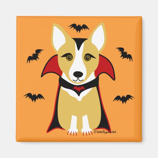 Imã Vampiro (Frente)