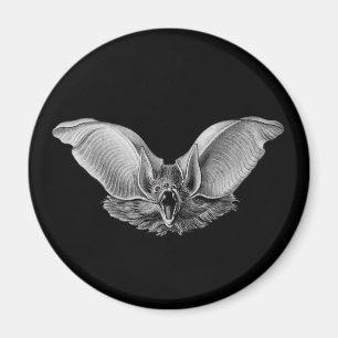 Imã Vampiro? Bastão?