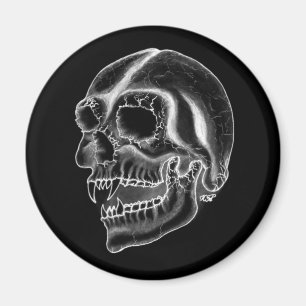 Imã Vampiro skull black and design white