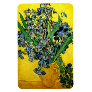 Ímã Van Gogh: Íris