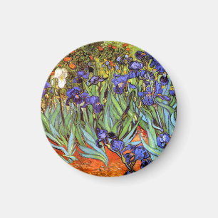 Imã Van Gogh: Íris