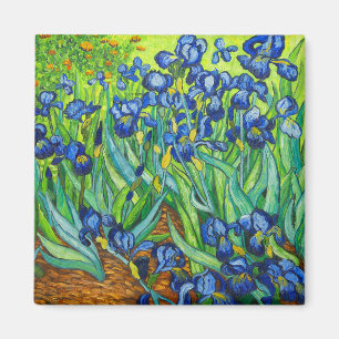 Imã Van Gogh Irises