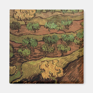 Imã Van Gogh Olive Trees Contra um Morro