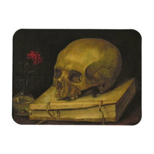 Ímã Vanitas, c.1644 (óleo em canvas)
