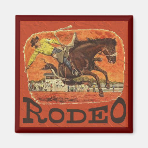 Imã Vaqueiro do rodeio