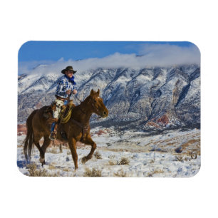 Ímã Vaqueiro no cavalo que veste as rachaduras 2 do