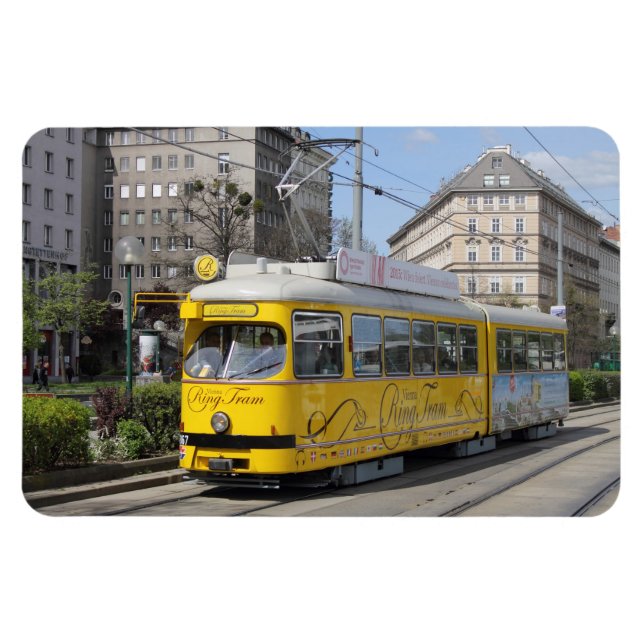 Ímã Vara Anel de Viena (Horizontal)