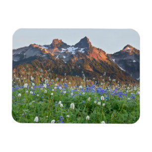 Ímã Variação de Tatoosh e flores selvagens Mt. Raini