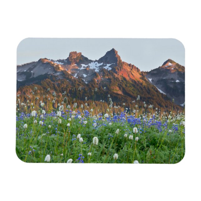 Ímã Variação de Tatoosh e flores selvagens | Mt. Raini (Horizontal)