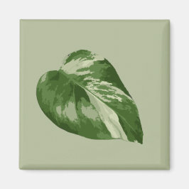 Imã Variegated Monstera Albo Magnet
