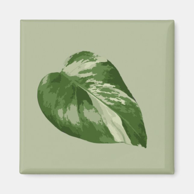 Imã Variegated Monstera Albo Magnet (Frente)