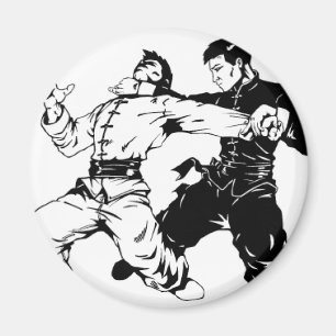 IMÃ VARREDURA DE KUNG FU
