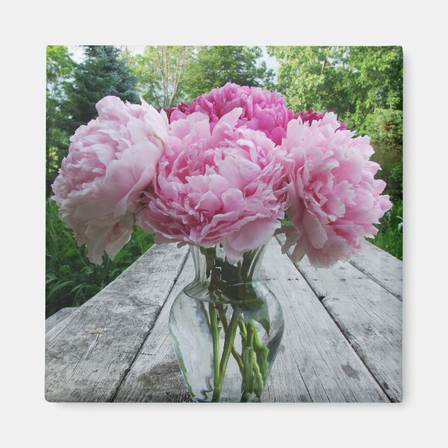 Imã Vase de Peonies Rosa Magnet Quadrado (Frente)