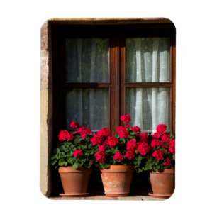 Ímã Vasos de flores na janela da aldeia