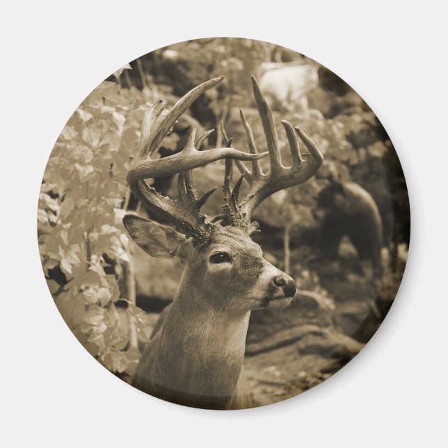 Imã Veado de Troféu (Frente)