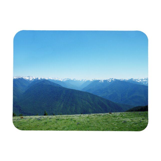 Ímã Veado e Jogos Olímpicos (Horizontal)