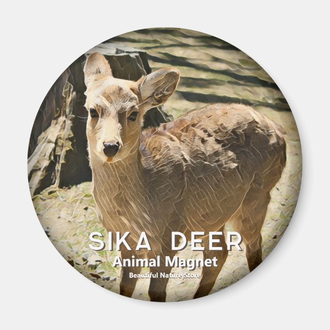 Imã Veado Sika ímã (Frente)