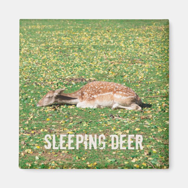 Imã Vedante em hibernação no outono no prado (Frente)