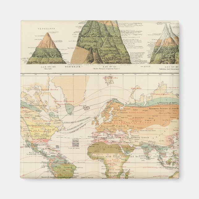 Imã Vegetação de distribuição (Frente)