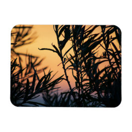 Ímã Vegetação no pôr do sol