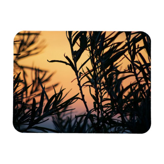 Ímã Vegetação no pôr do sol (Horizontal)