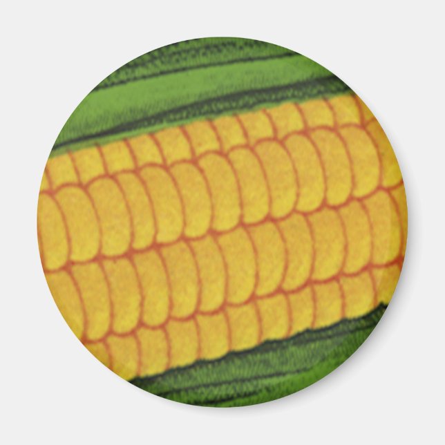 Imã Vegetais de Comidas de safra; Milho Amarelo no for (Frente)