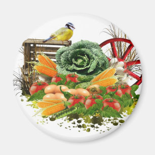 Imã Vegetal e ovos