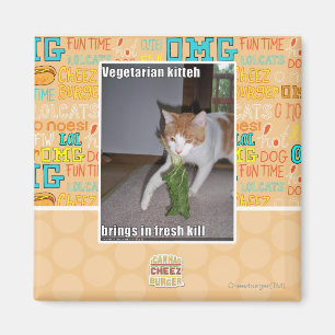 Imã Vegetariano Kitteh