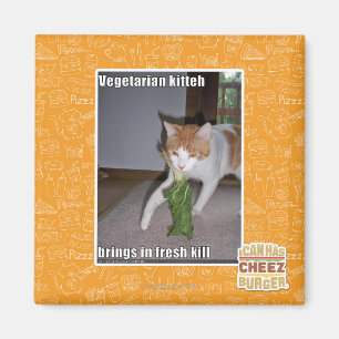 Imã Vegetariano Kitteh
