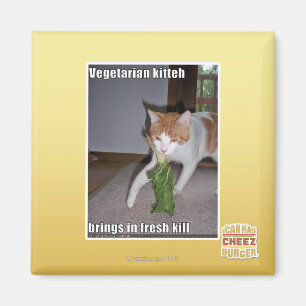 Imã Vegetariano Kitteh