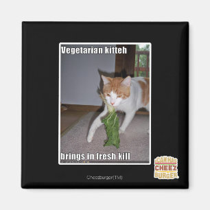 Imã Vegetariano Kitteh
