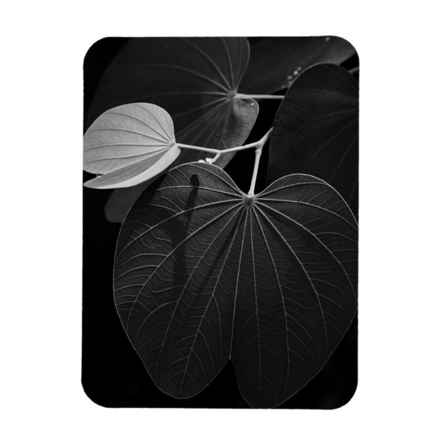 Ímã Veias de folha (Vertical)